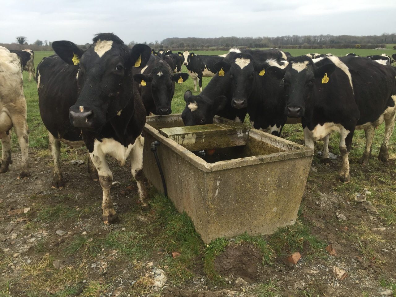 'Not measuring grass is like driving a tractor without diesel'