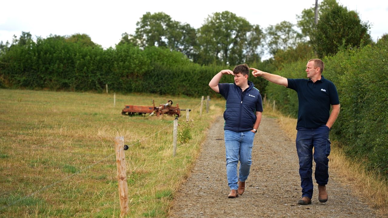 Watch: ‘We need to move now’ and act before fodder survey results