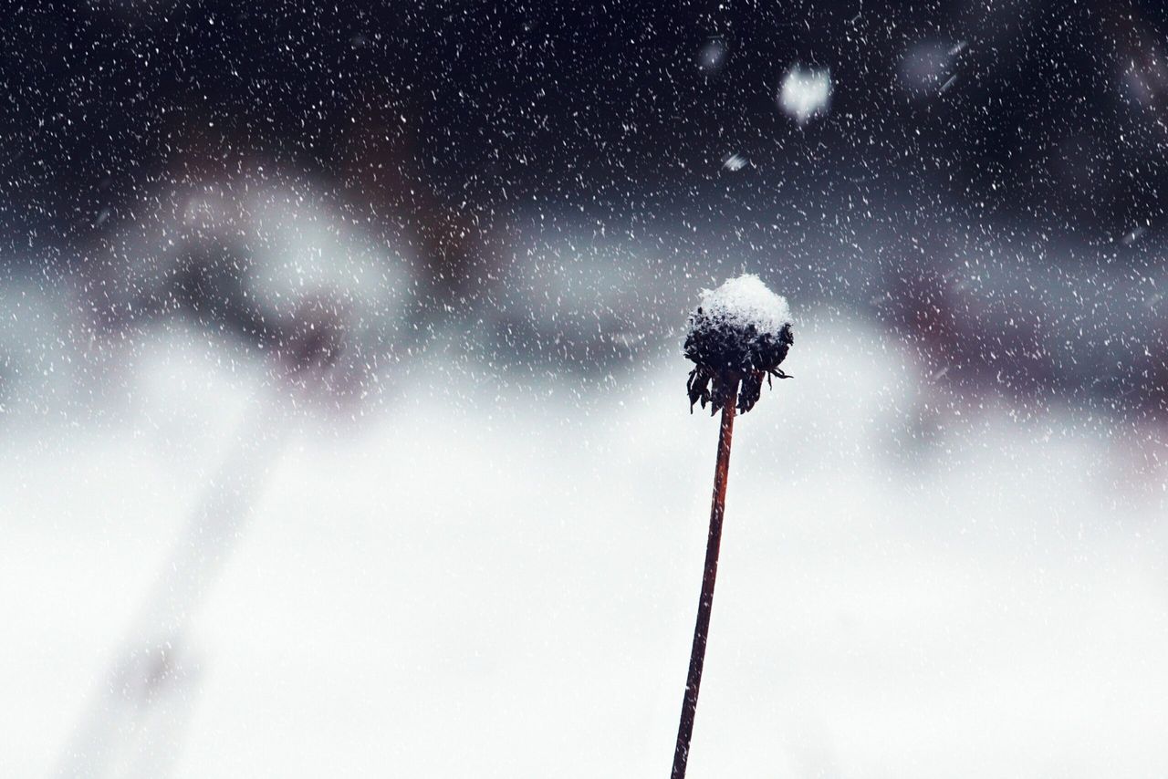 Wind warning for south - with first snow of 2019 forecast