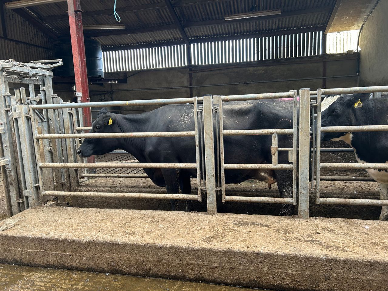 Time to develop or review your vaccination programme