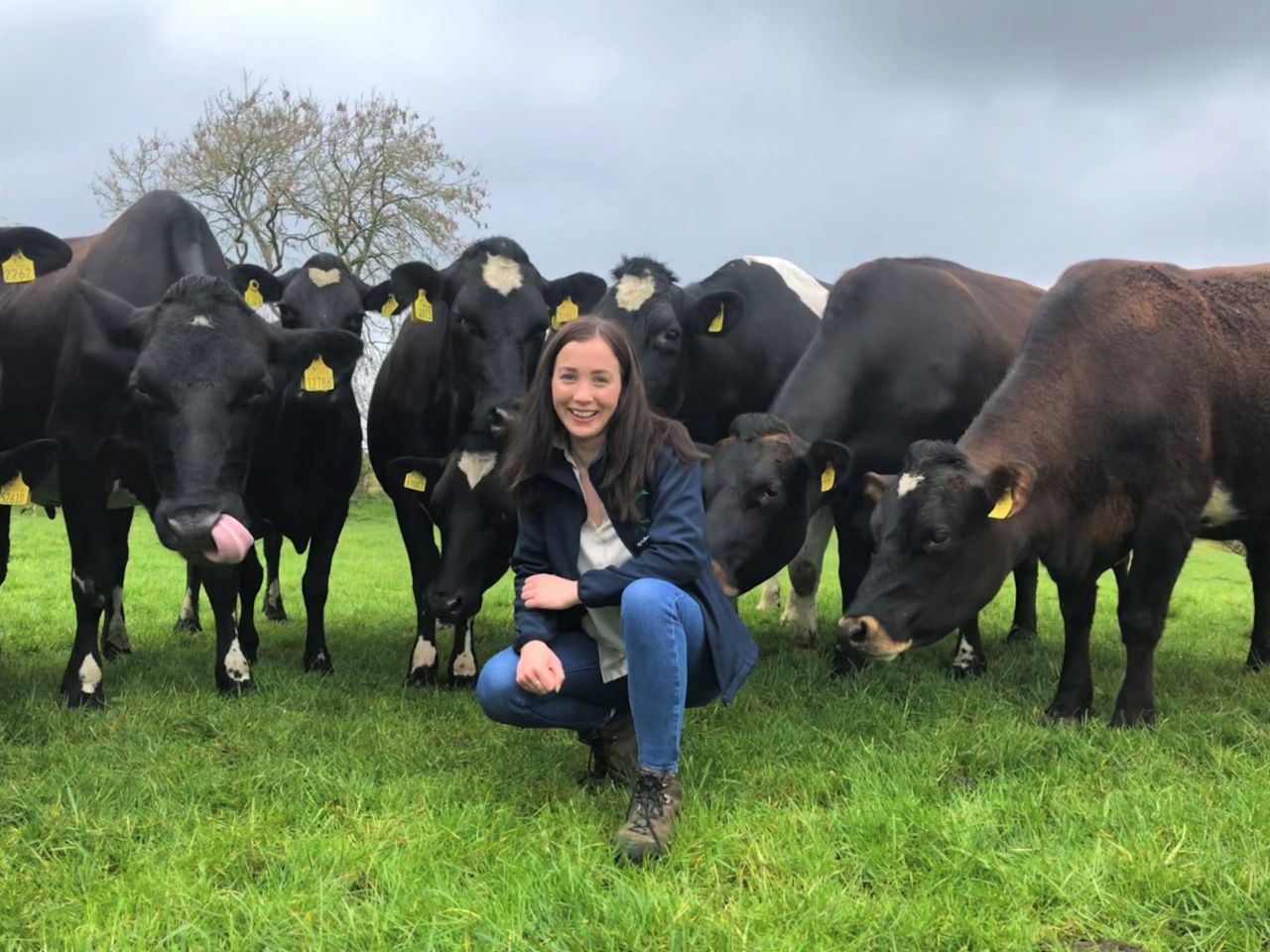 MSD announces new appointments in animal health