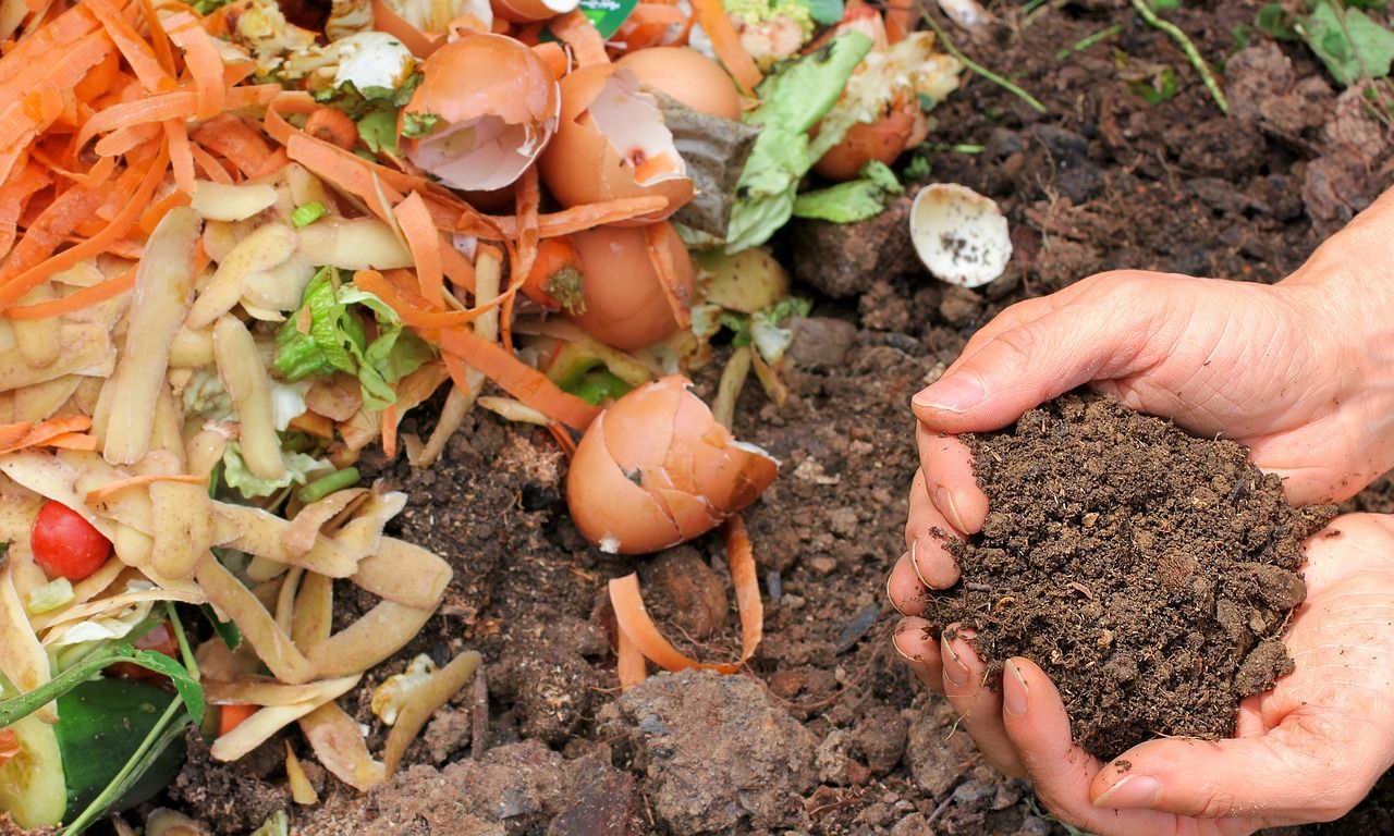 How food waste can boost domestic fertiliser production