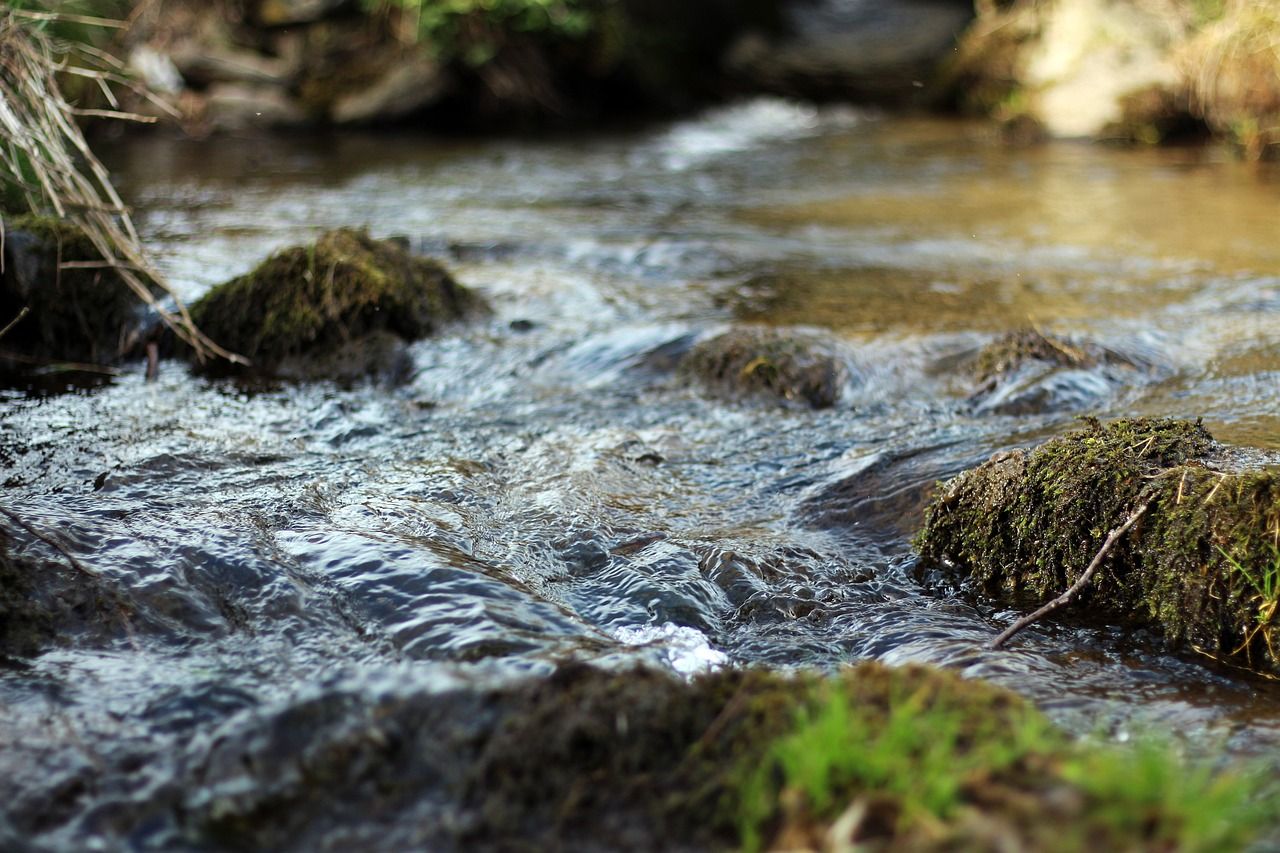 Lakeland Dairies event to highlight benefits of water quality funds