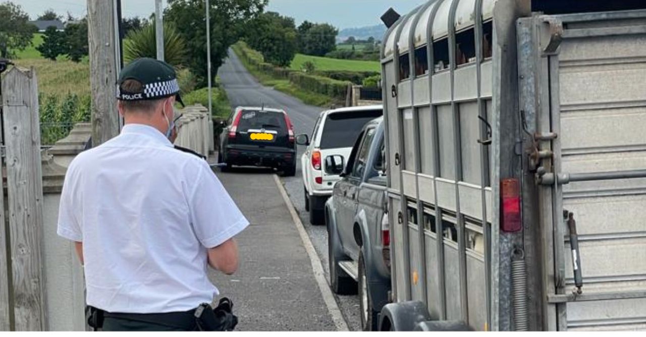 2 arrests made as part of rural crime clampdown in Down