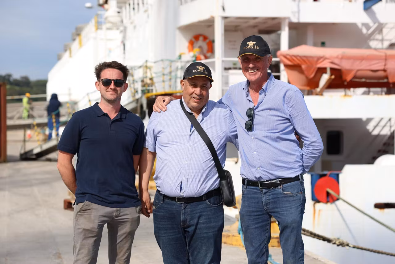 L-R: Cathal Clarke, Cows.ie; Mr. Djalti, cattle buyer and David Clarke, Cows.ie pictured at the loading of the consignment of bulls at Belview Port earlier this week