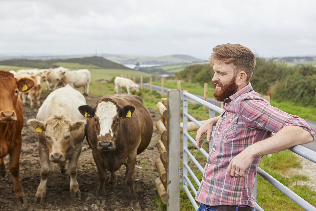 Mercosur is a 'bad deal for Irish and EU farmers' - Sinn Féin