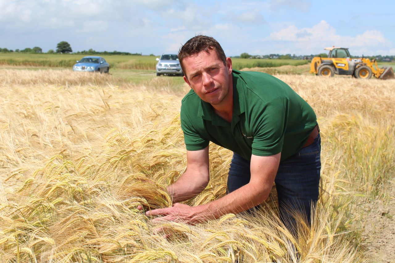 Tillage: Take-all impacting winter barley yields in north-east
