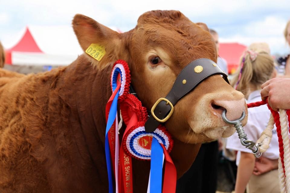 Deadline for entries to Tullamore Show set to close
