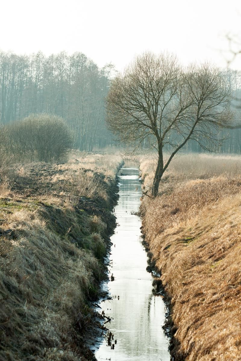 'Irish Water: If we want your land we'll take it for the Shannon-Dublin pipeline'