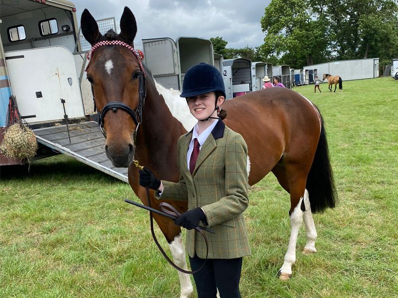 Horse rescued from kerb takes 2nd place at Cork Show