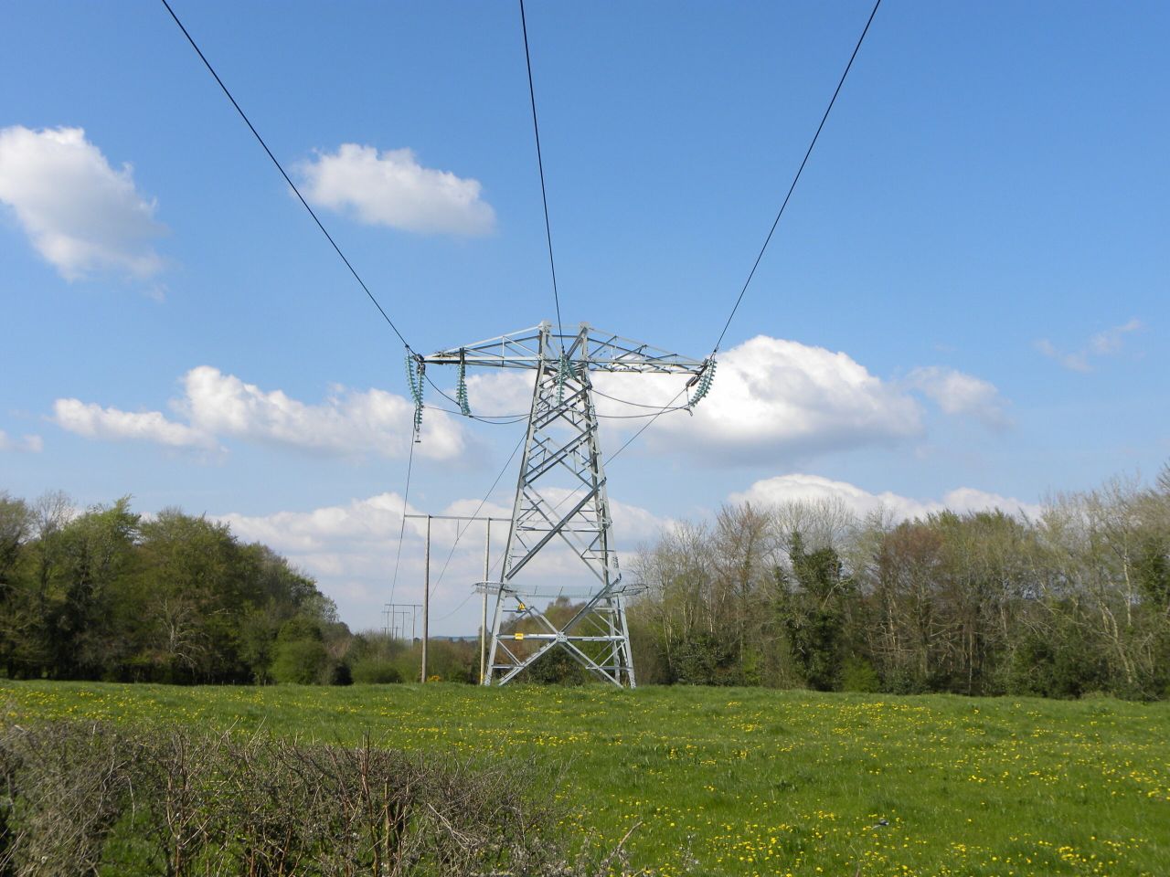 Terms of reference for EirGrid review published