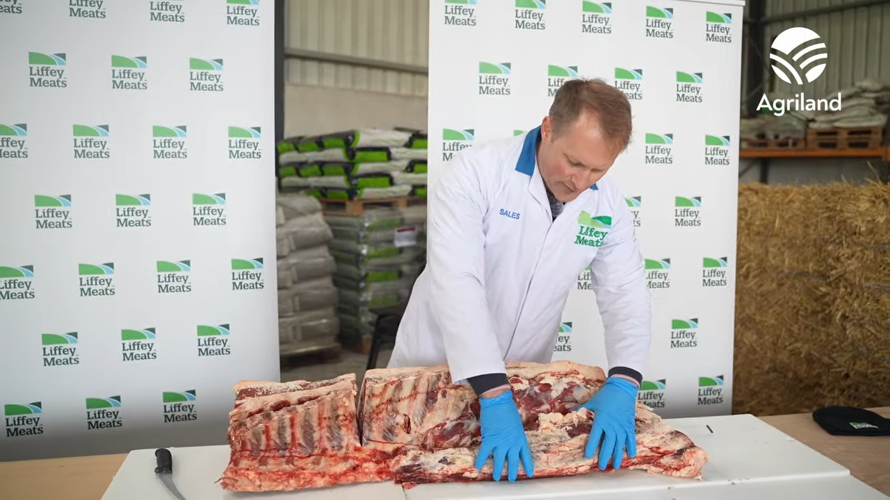 Explaining carcass labelling and the beef de-boning process