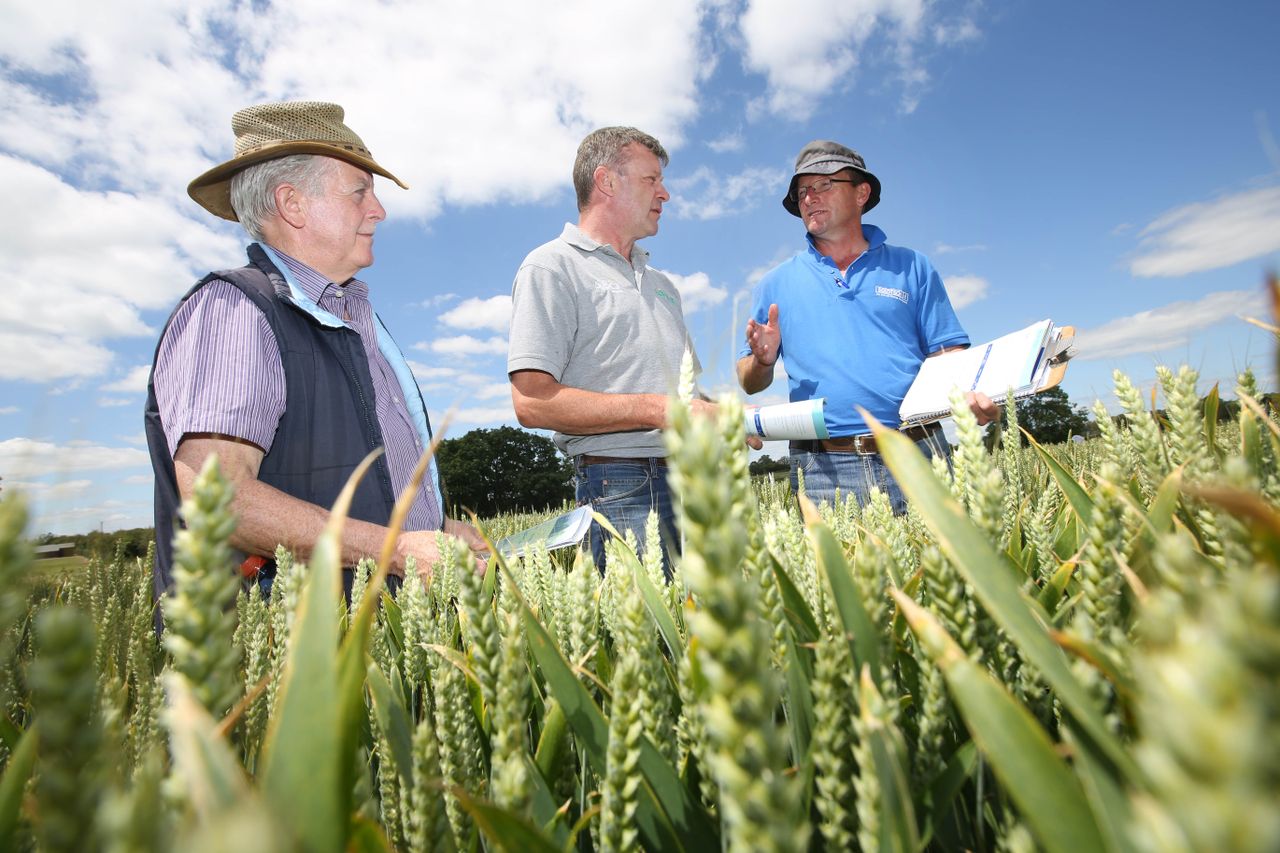 More varieties on show at Seedtech open day
