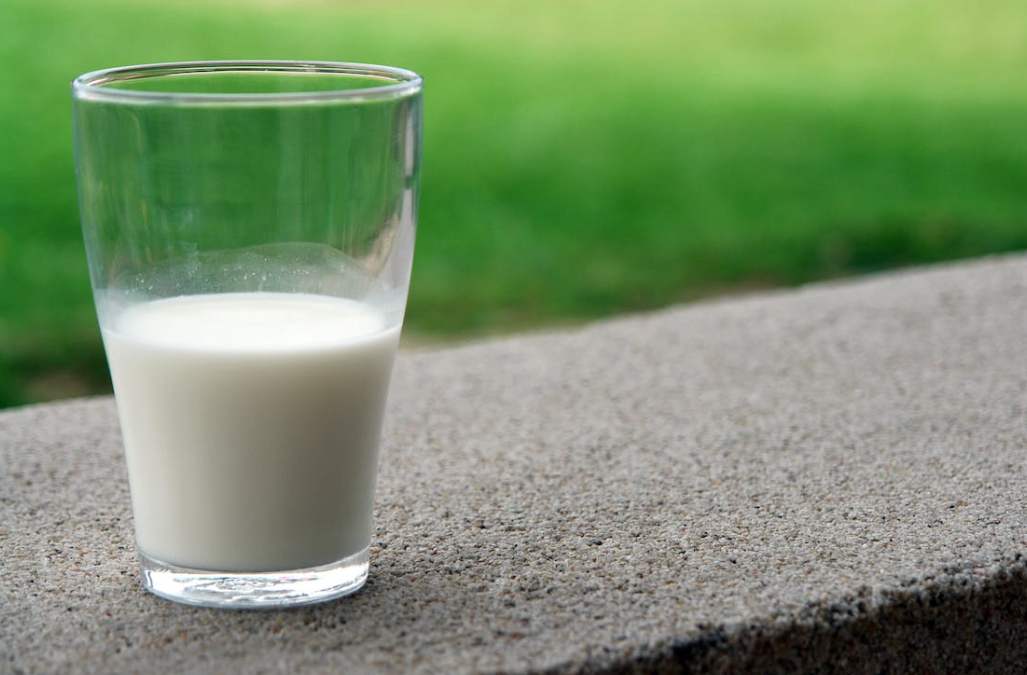 Export programmes deliver £55.6m in new sales for NI dairy industry
