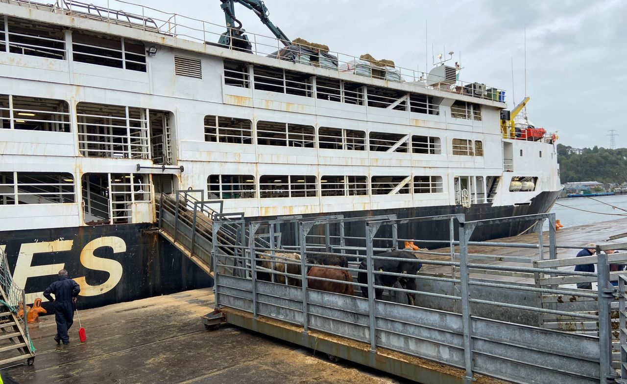 End live trade export practice - Leddin