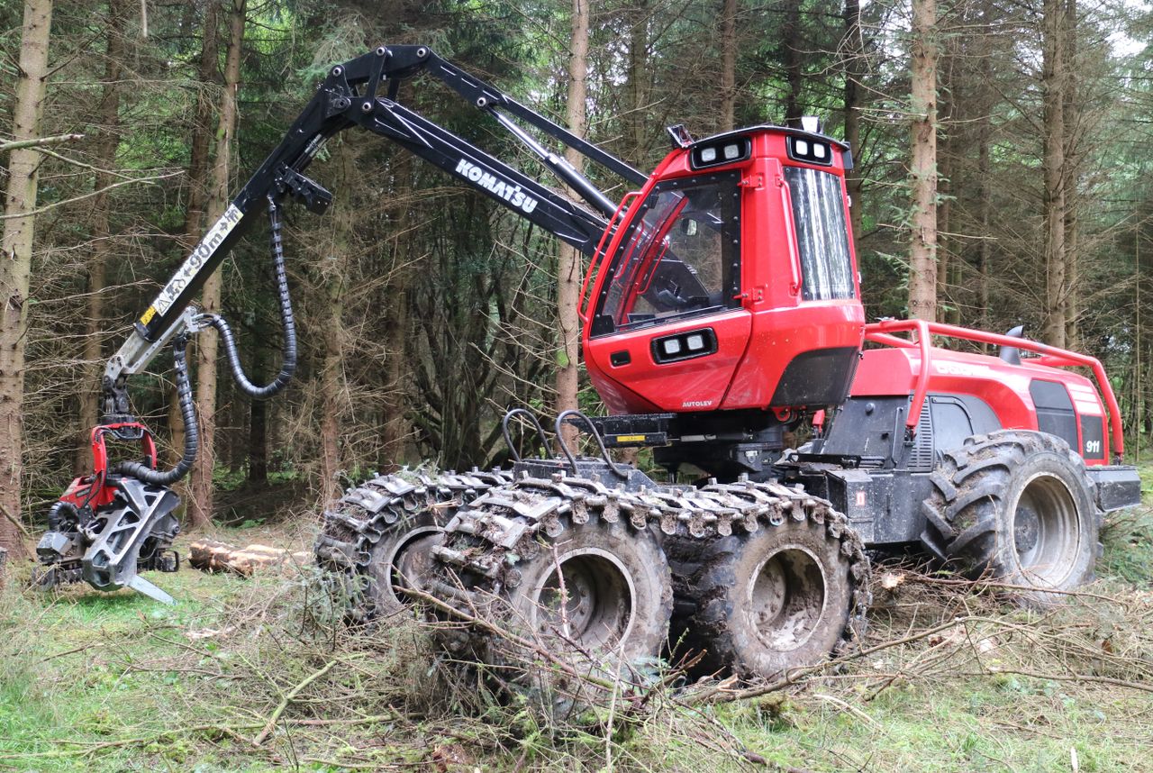 'Backlog of over 1,500 applications': Issue of felling and forestry licences raised