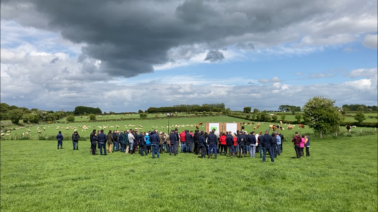 Video: IGA sheep conference and farm walk returns in person