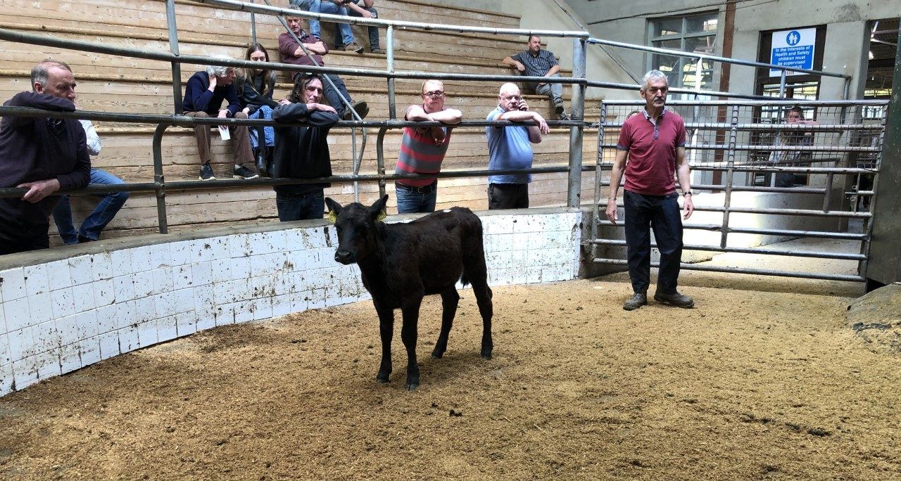 'As a mart manager our job was to get people into the mart - not keep them away'