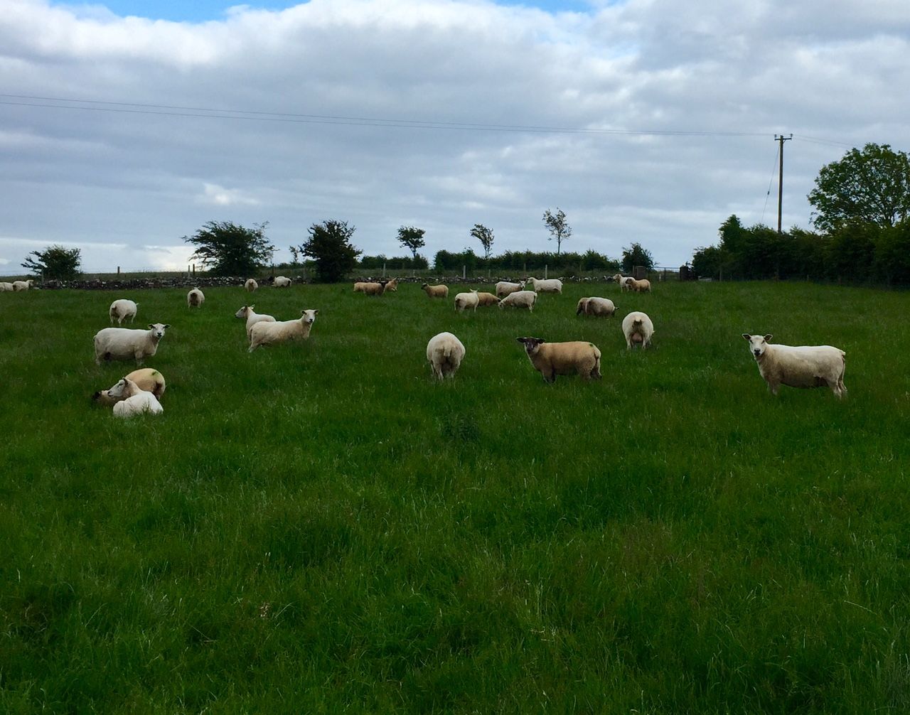 How the Department decides which farms to inspect