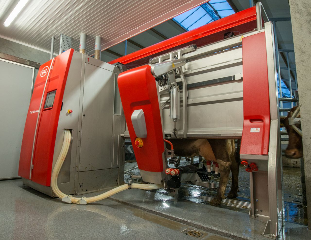 Lely to host 3 robotic milking open days this week
