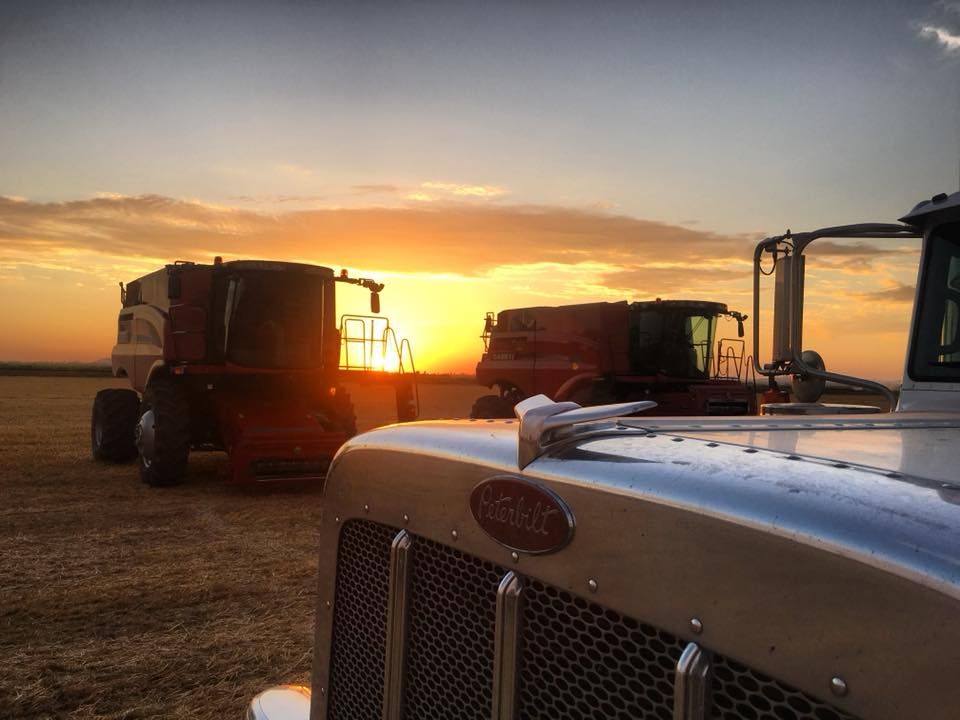 'Experience of a lifetime': Irish drivers wanted for combine crew...based in US