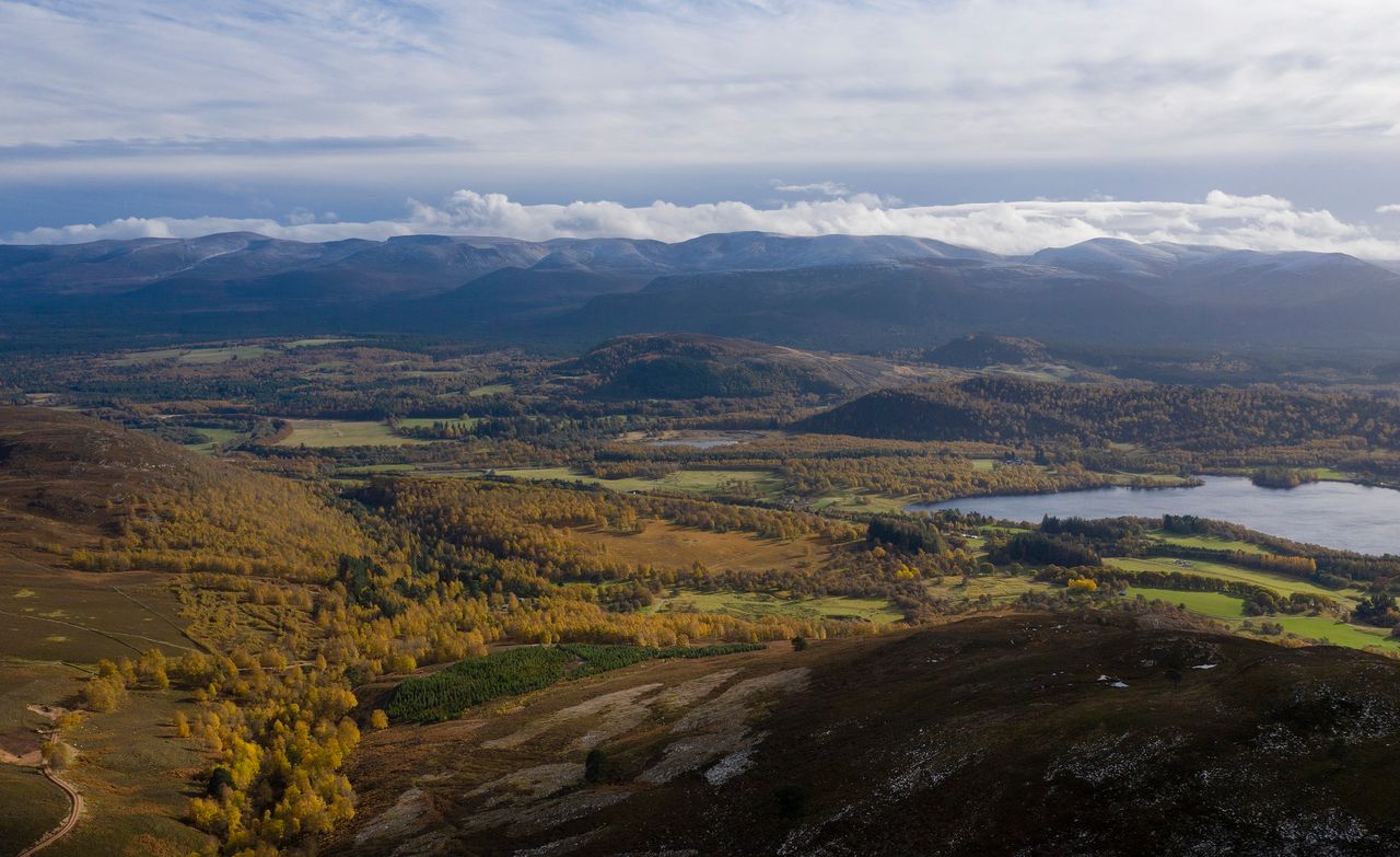 Mixed estate on 9,309ac offers recreation, conservation, forestry and farming in one