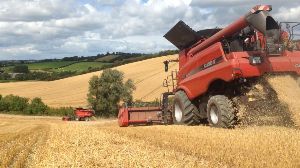 New disease early warning systems to be developed for crops