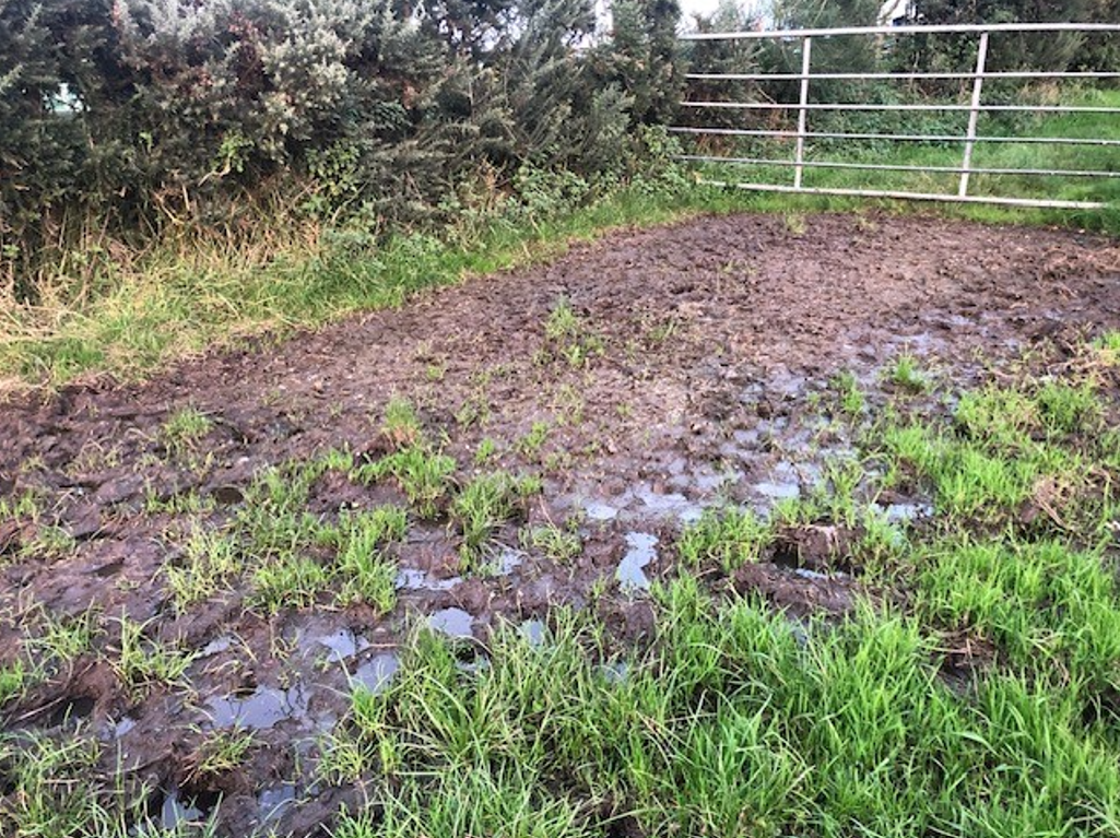 Factors for farmers to consider before leasing land