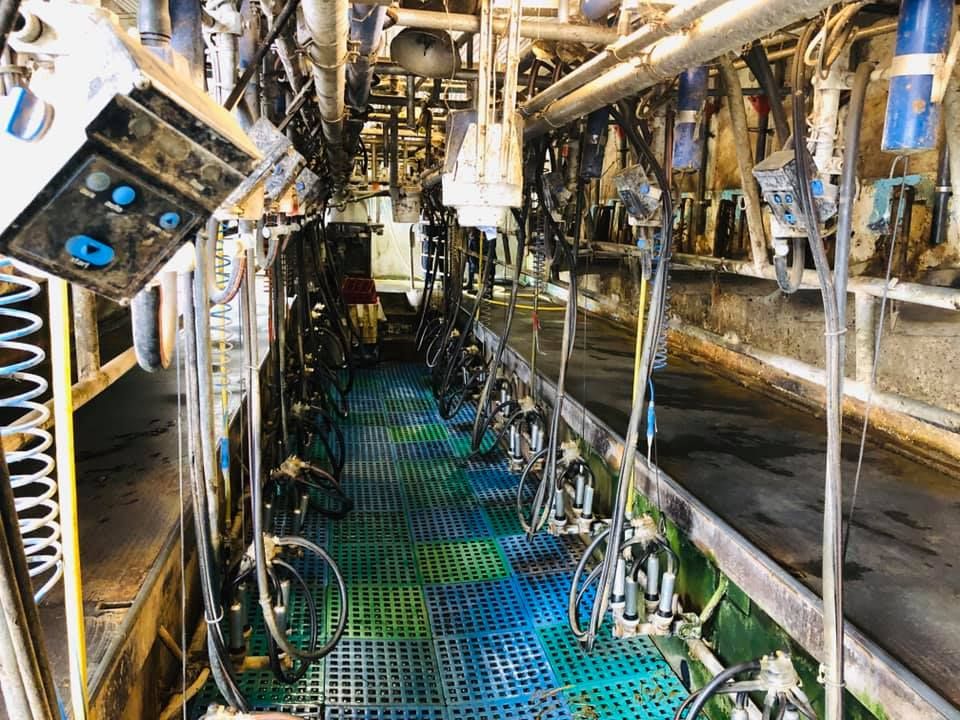 Irish milk prices still have 'ground to make up' - ICMSA