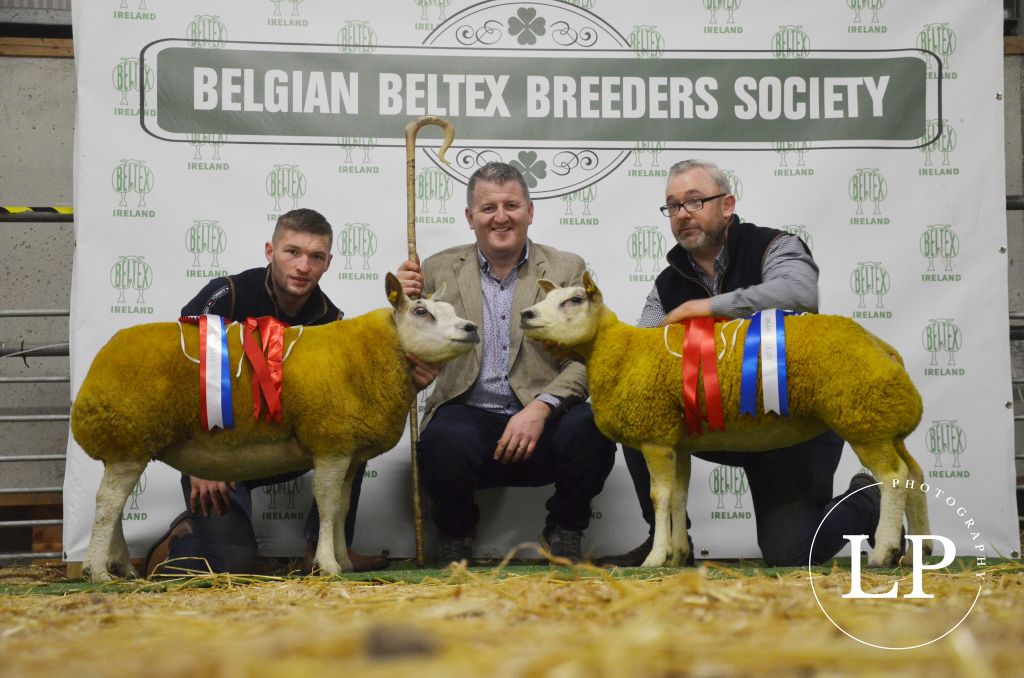 Champion and reserve champion