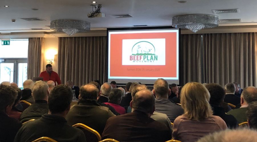 Beef Plan members plan for 'inaugural AGM' in May