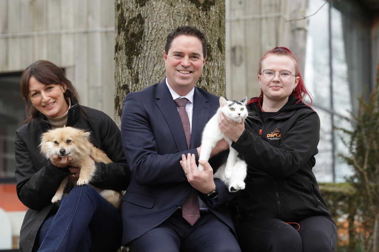 2025 funding programme for animal welfare opens