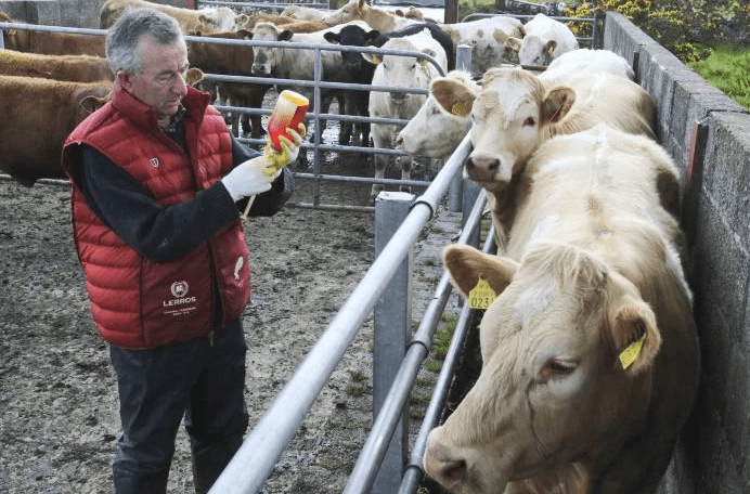 Major food-service companies pledge to go 'antibiotic-free'