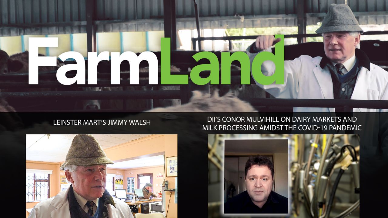 This week's FarmLand: Dairy markets and Covid-19; plus 'glory days' at Leinster Marts...