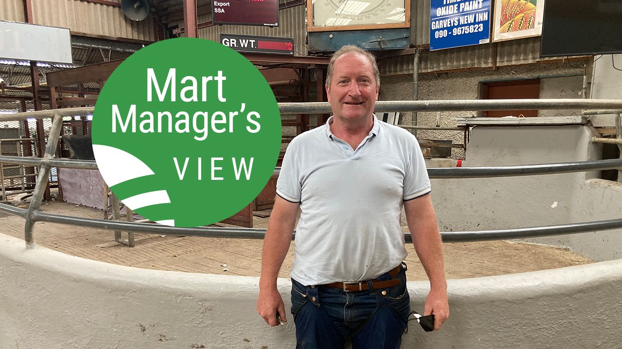 'Heavy lambs were up €5-8/head on last week' - Jimmy Cooney