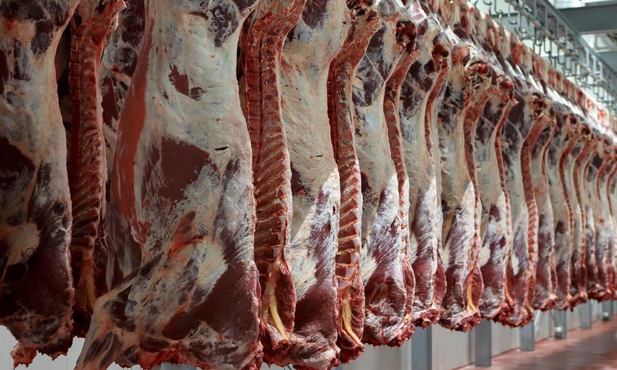 Over 37,000 carcases inspected by DAFM in factories