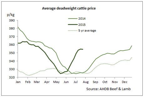 'Heat has left the UK cattle trade, as healthy supplies fill chill rooms'