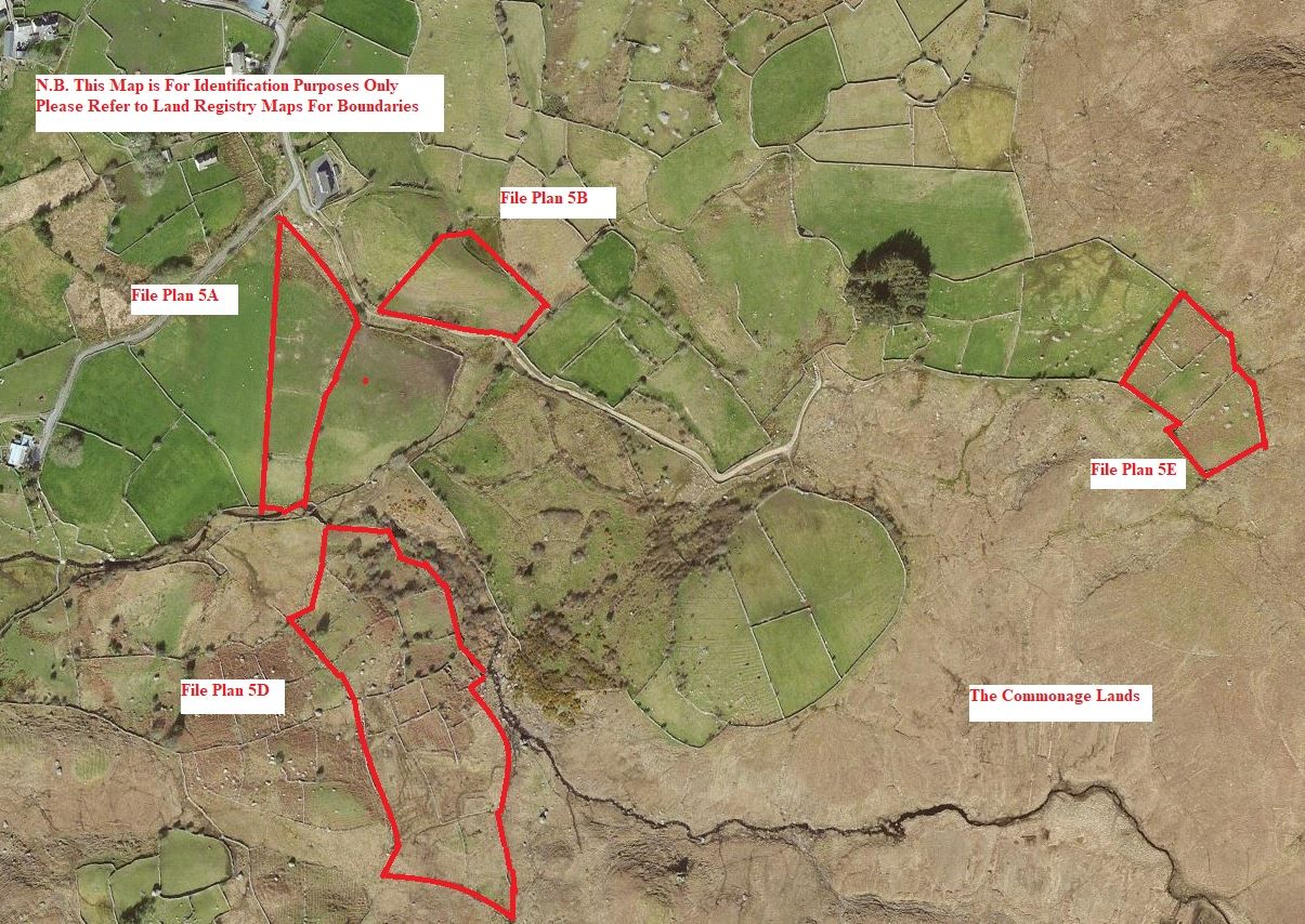60.28ac suited to grazing for sheep, cattle and horses on the market in Co. Galway