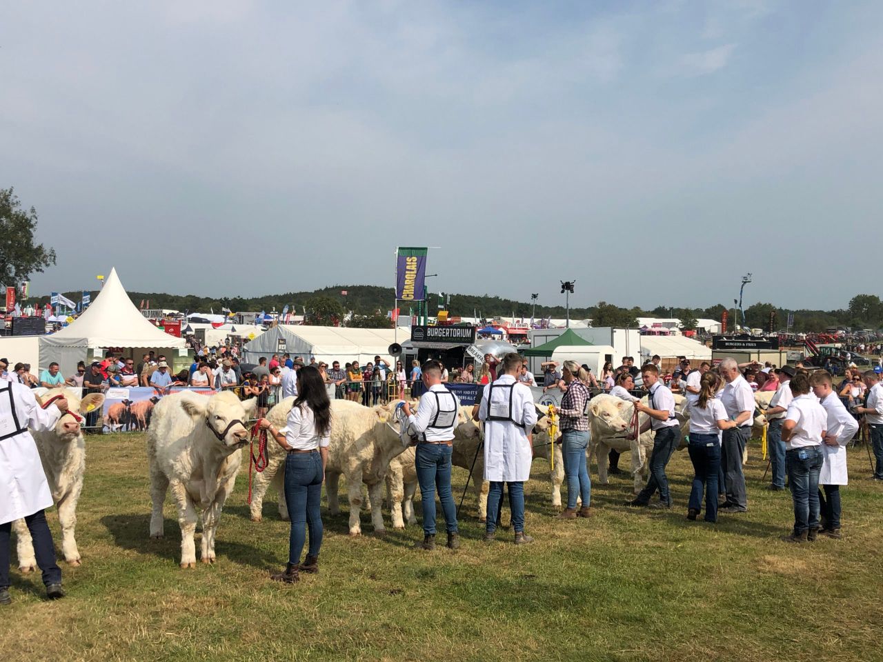 Pictures: Sunshine, cattle and crowds at Tullamore Show
