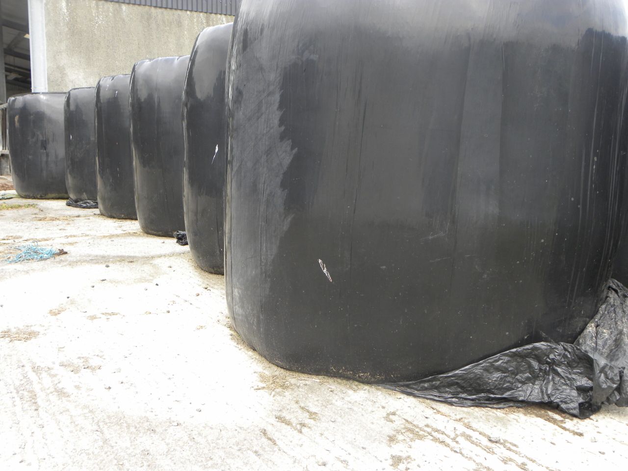 Silage bales making €18-23 on Done Deal while hay is selling for €20-25
