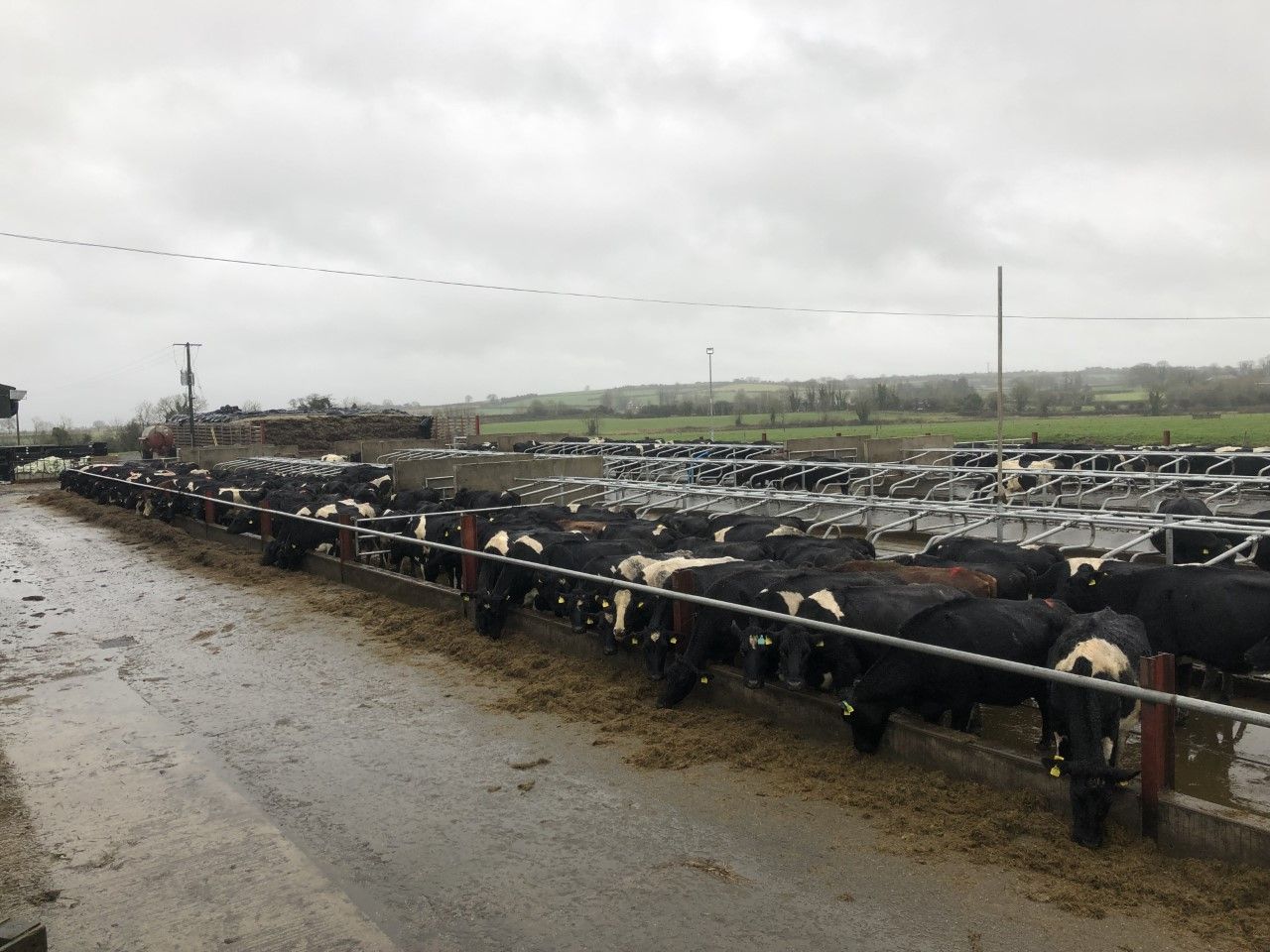 Soiled water storage: No need to cover open yards or topless cubicles - DAFM