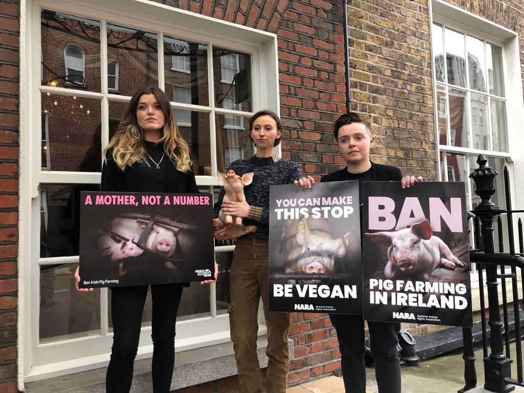 L-r: Animal Rebellion Ireland representative, Becky Jenkins; former UK pig industry vet, Dr. Alice Brough; and National Animal Rights Association spokesperson, Laura Broxson at a press conference in Dublin which revealed the footage of pigs.