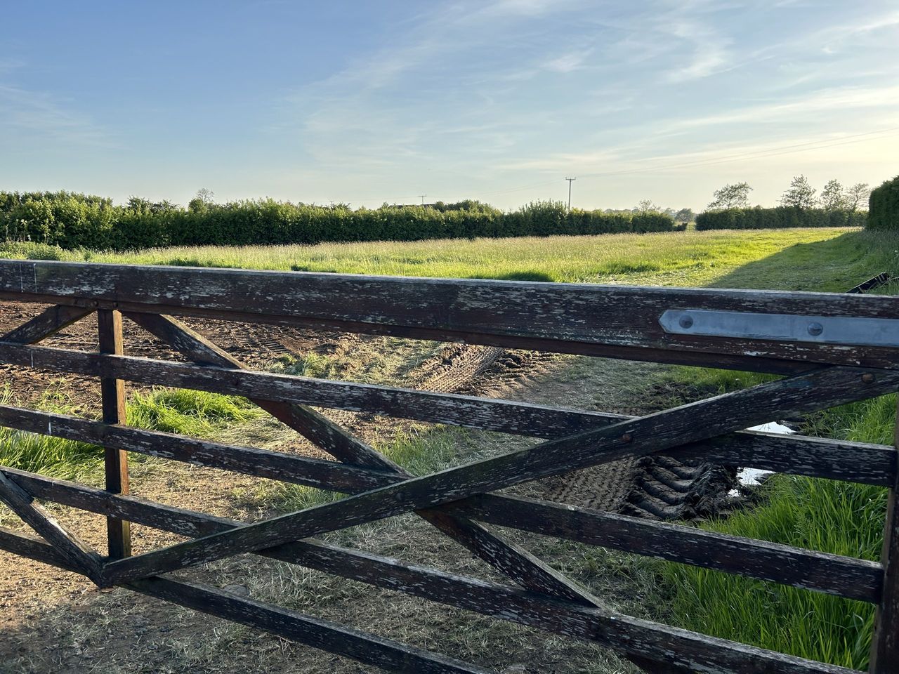 DAERA seeks chair and members for nature conservation council