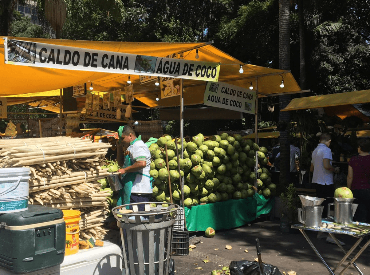 Brazilian producers race to ramp up traceability and sustainability as Brexit nears
