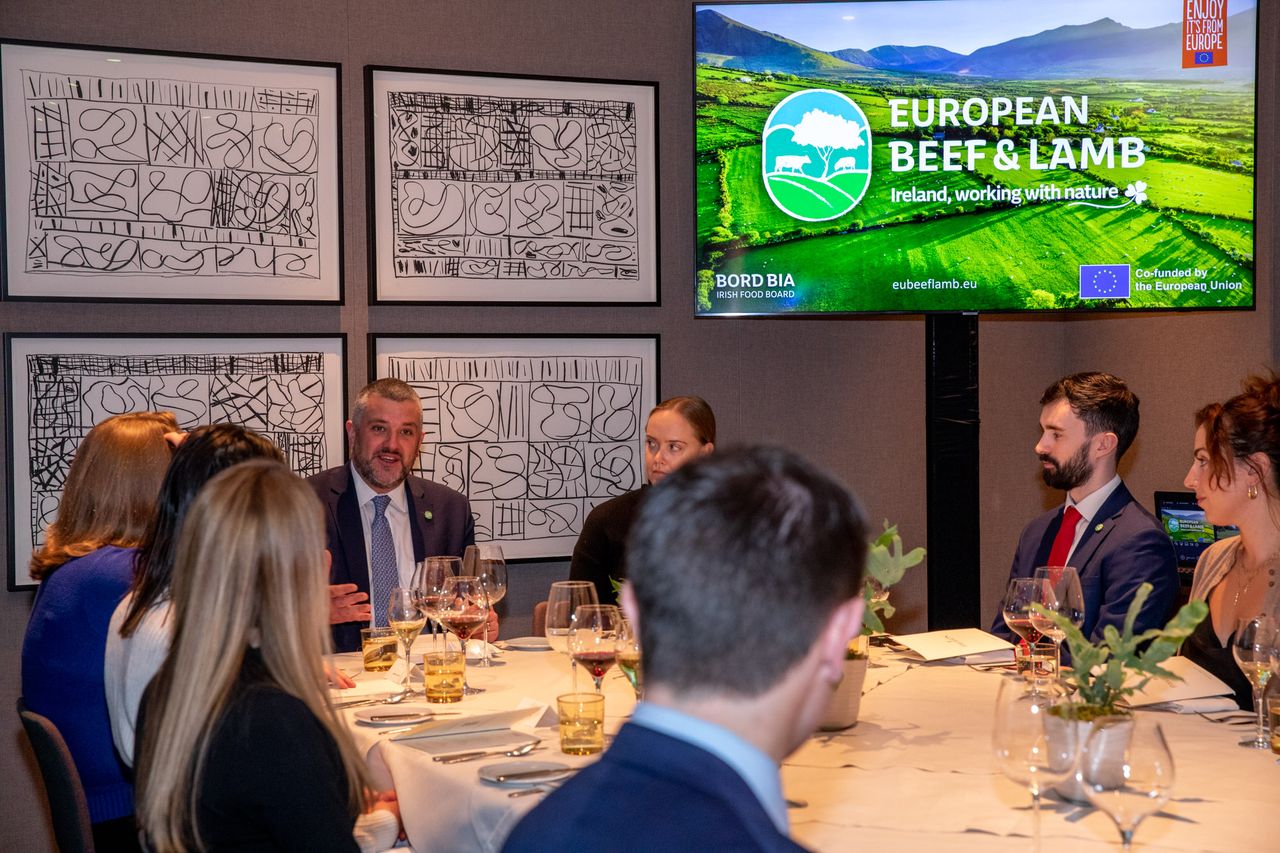 Bord Bia launches €4.8 million beef and lamb campaign