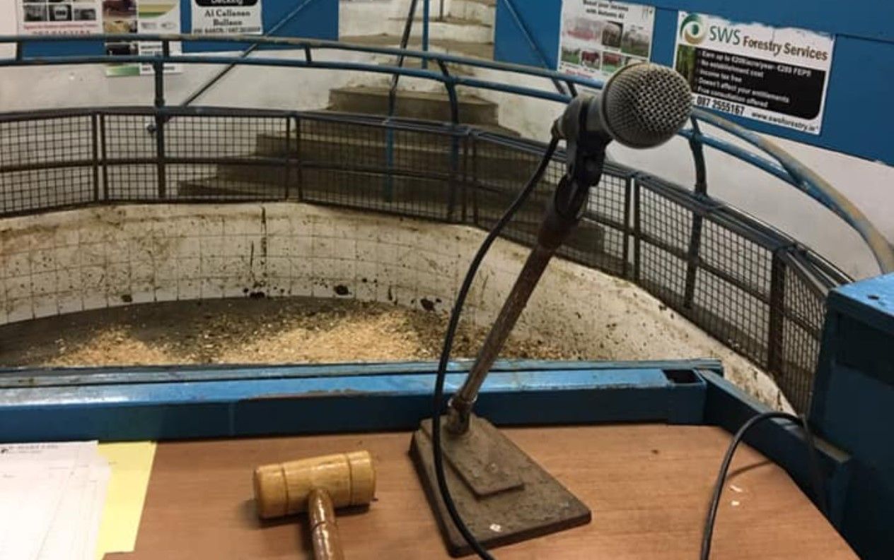 Mart managers meet minister: June return to ringsides 'not ruled out'