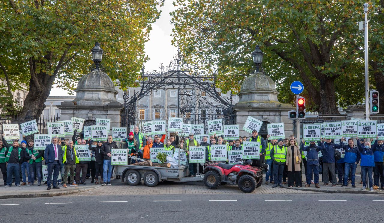 SEEFA calls for publication of planned output per forestry licence