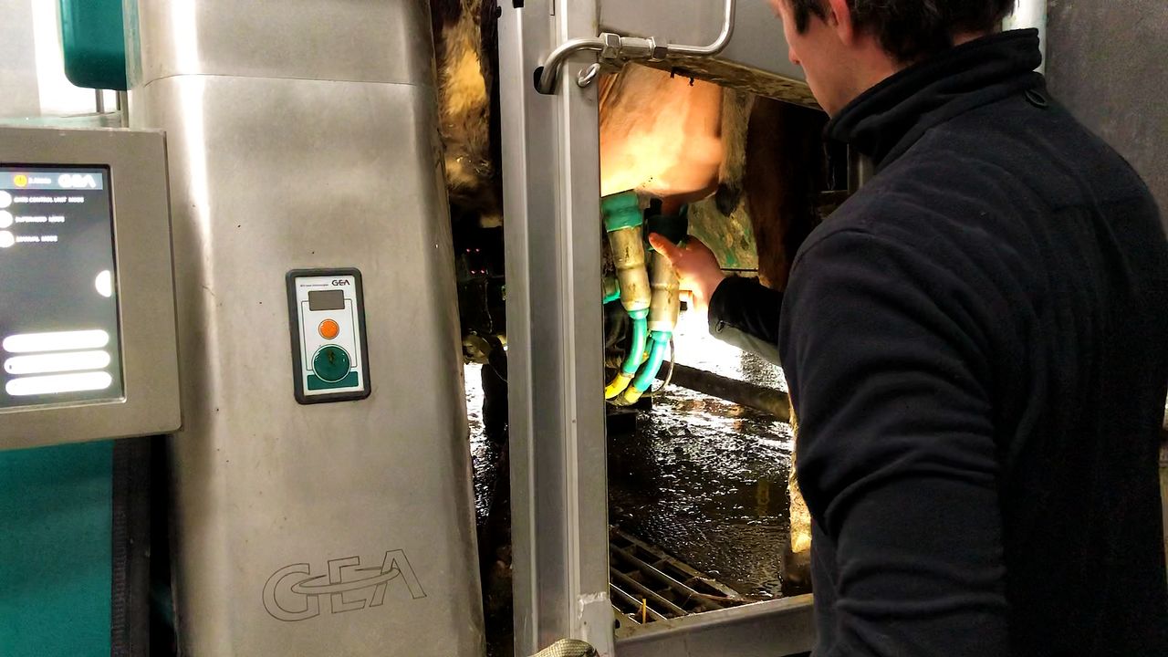 Buildings Focus: Going the robotic-milking route in Co. Roscommon