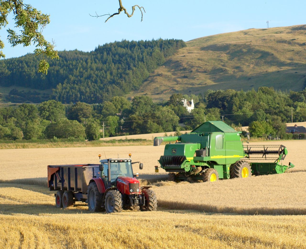 Scottish farm incomes take a hit of almost 50%