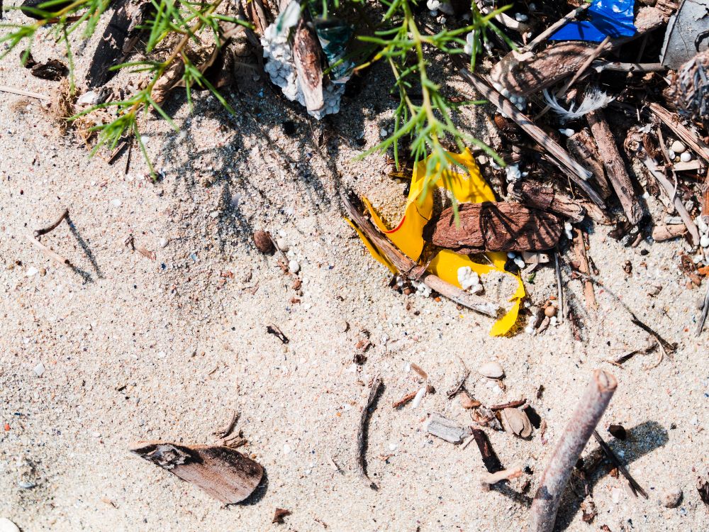 Agriculture, shipping and fishing - main sources of plastic pollution in seas